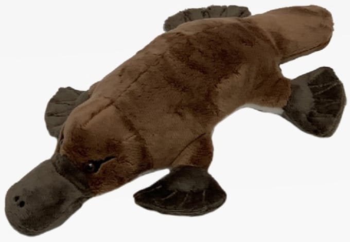 Pluche knuffel vogelbekdier bruin - 28 cm - Dieren knuffels voor kinderen