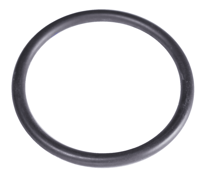 O-ring 1"