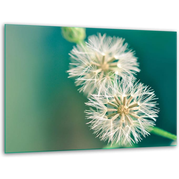 TMK ArtDeko - Glazen Snijplank - 40x30 cm - Bloemen