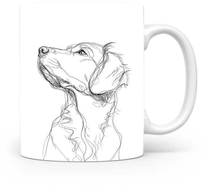 Beker Nova Scotia Duck Tolling Retriever