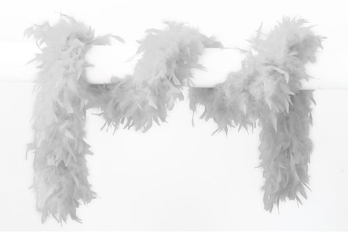 Boa Wit - 65 Gr - 180 Cm - Veren