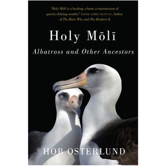 Holy Moli - Osterlund, Hob