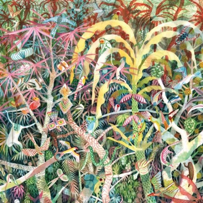 Lichen - Dijf Sanders