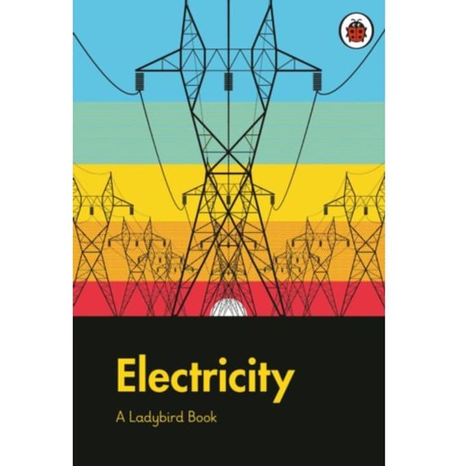 A Ladybird Book: Electricity - A Ladybird Book - Elizabeth Jenner