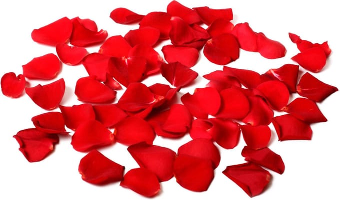 Folat - Luxe rozenblaadjes Rood 144 stuks