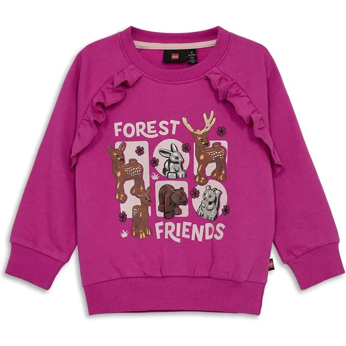Junior Sweatshirt Lego Lwsanyu 701