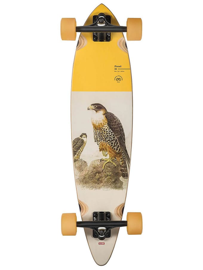 Globe Pintail 34" Complete patroon