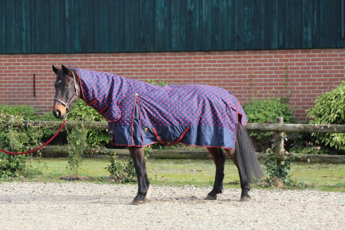 MHS Regendeken Dream 100 gram vaste hals 60/80 cm Red Stars