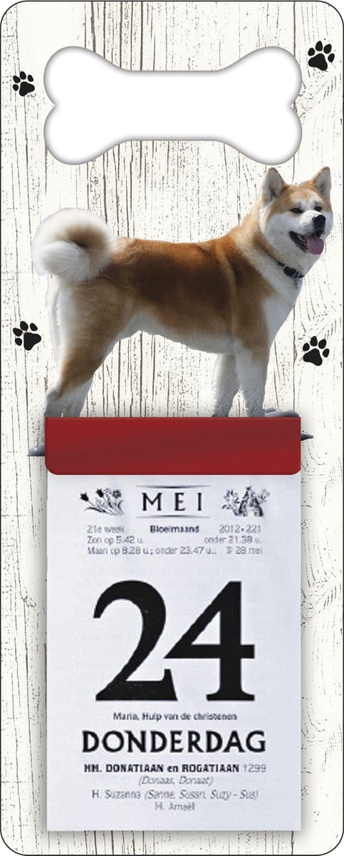 Scheurkalender 2027 Hond: Shiba Inu