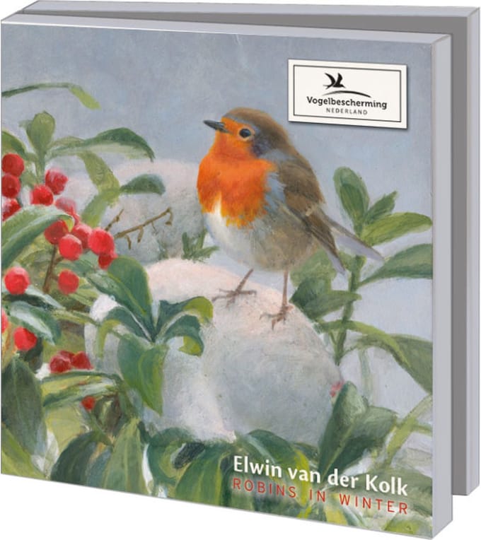 Kaartenmapje met env, vierkant: Robins in Winter, Elwin van der Kolk, Vogelbescherming