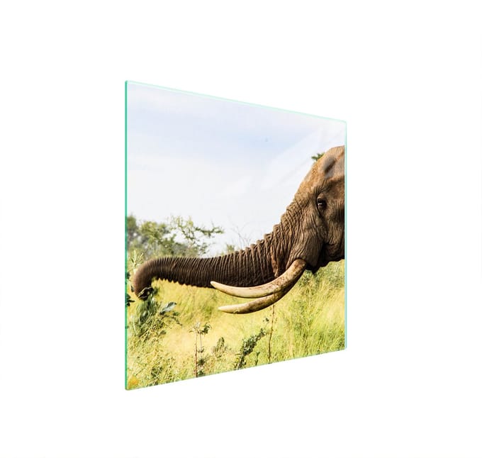 TMK ArtDeko - Snijplank - 50x52 cm - Veilig - Multifunctioneel