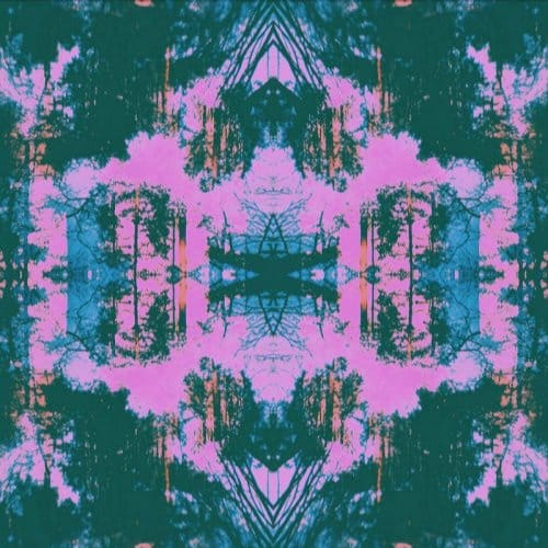 Dissolve - Tusks