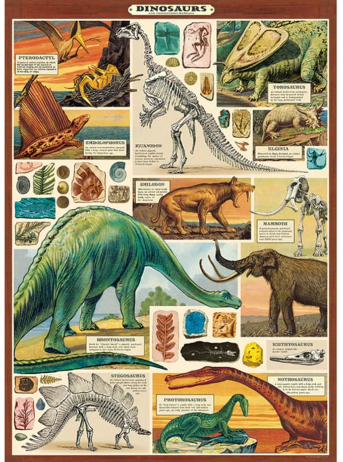 Poster Dinosaurussen B - Cavallini & Co - Vintage Schoolplaat Dino's B