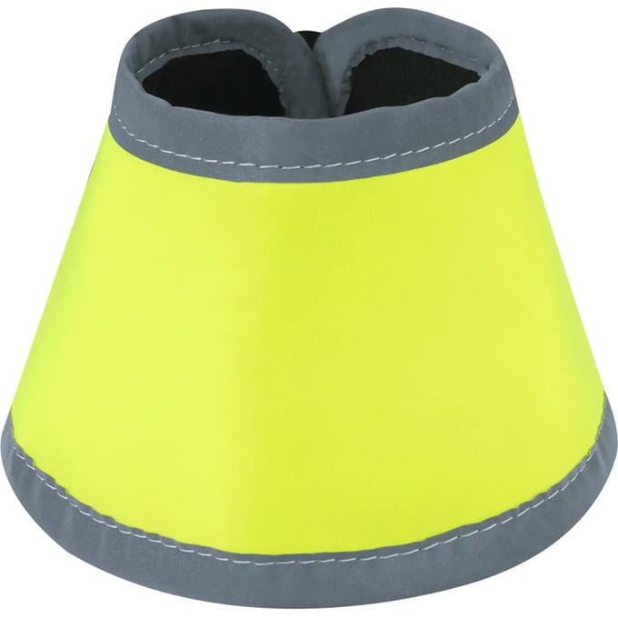 Paardenbellen Waldhausen Reflex