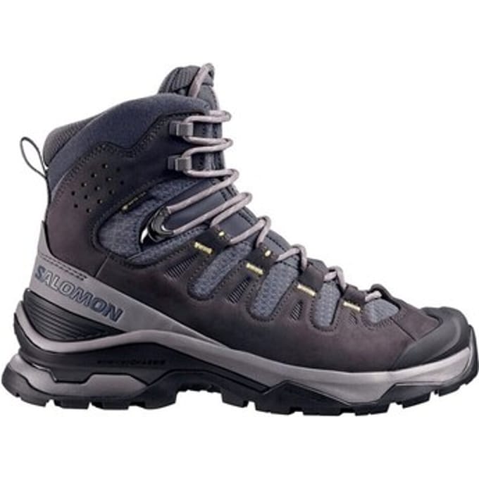 Wandelschoenen Salomon 491388