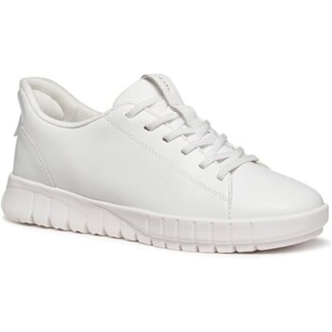 Lage Sneakers Geox -