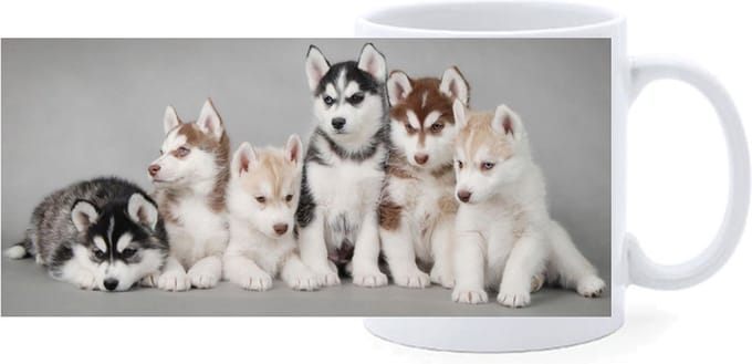 Beker - Husky Pups op Rij