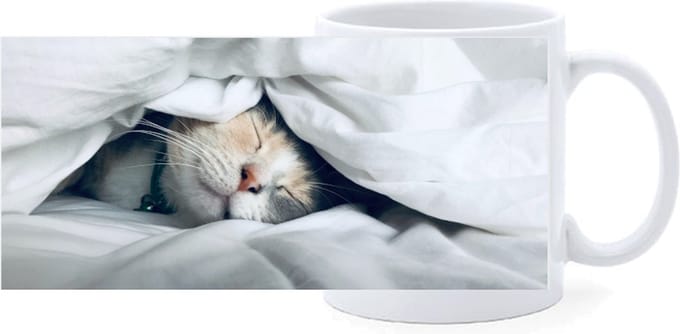 Bekers - Poes onder Laken
