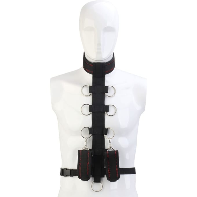 Body Collar Blaze Deluxe