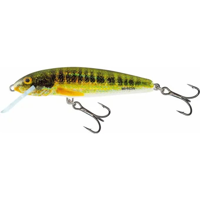 Drijvend kunstaas Salmo Minnow 3g