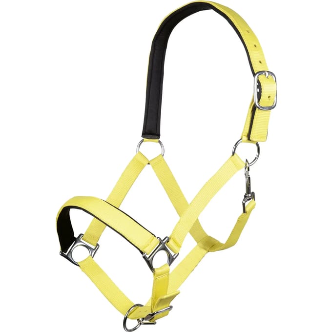 Halster voor paarden HKM Stars Softice