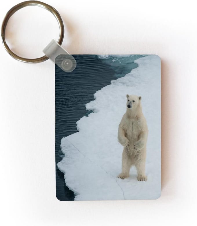 Sleutelhanger - IJs - IJsbeer - Winter - Uitdeelcadeautjes - Plastic