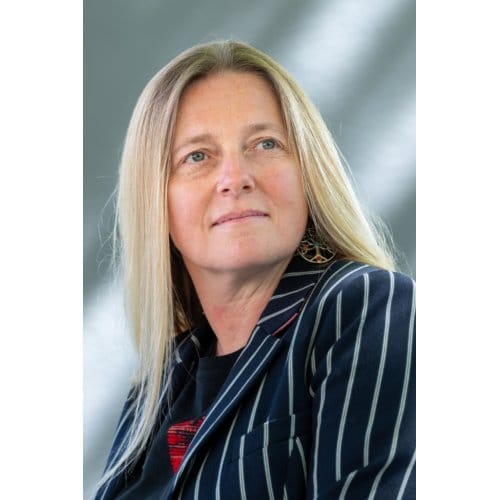 The Christmas Clue - Nicola Upson