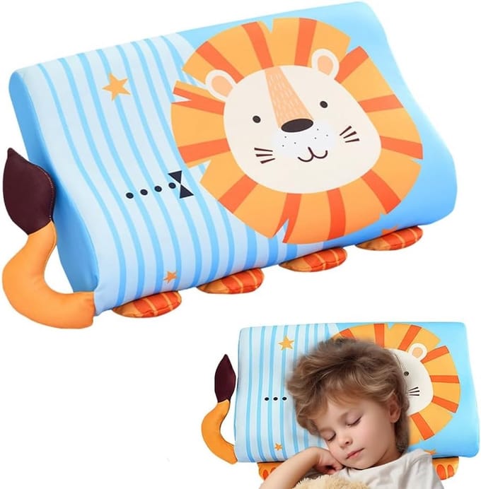 Dailygoods- Traagschuim Kussen Ergonomisch - Kinderkussen - Ademend - Wasbaar - Kussensloop - Comfortabele Kern