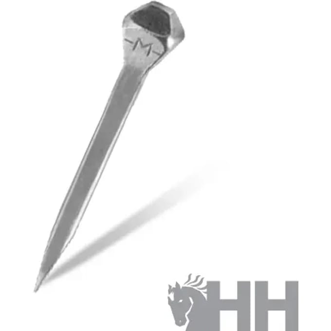 Clou fer à cheval Hispano Hipica Mondial 6 (x500)