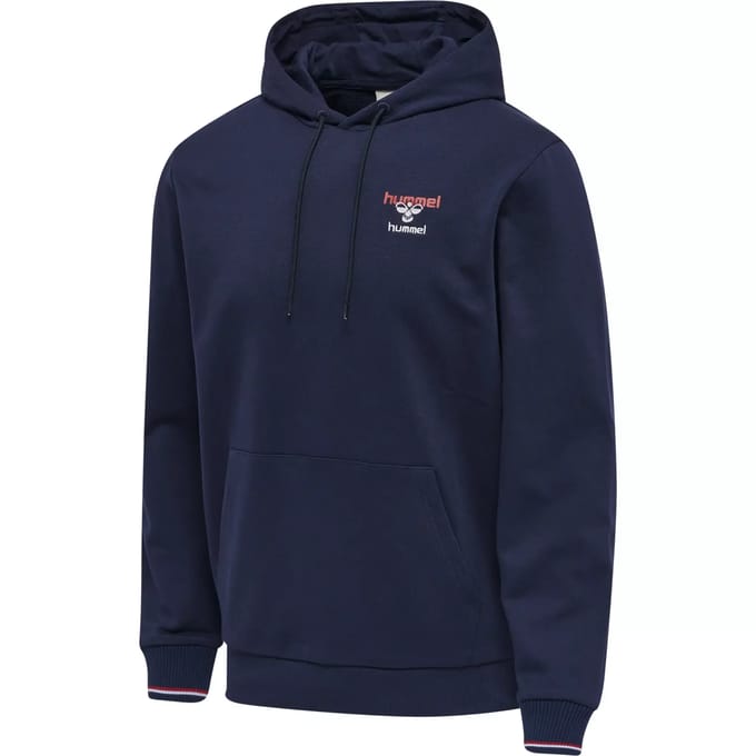 Hooded sweatshirt Hummel IC Dayton