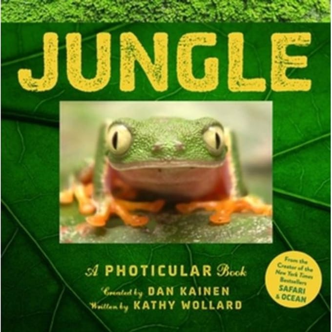Jungle - Photicular - Dan Kainen