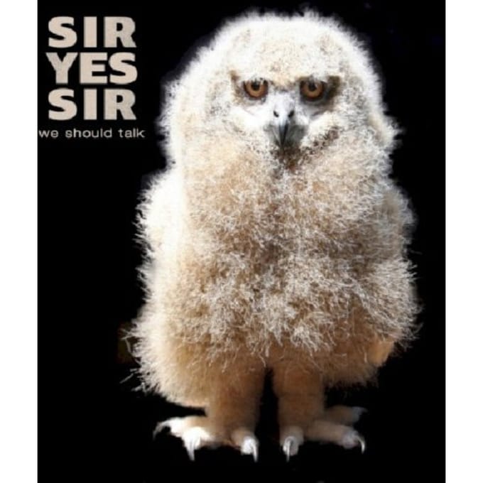 We Should Talk - Sir Yes Sir
