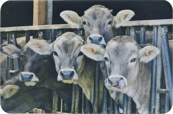 deurmat kalfjes in stal 75x50cm