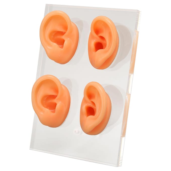 Menselijk Oor Model Siliconen Oor Model met Acryl Standaard voor Lesgeven Instructies Winkelraam Display white