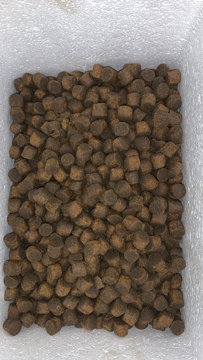 Steur voer perfect uitgebalanceerd 16mm. Bolies steurvoer 5kg