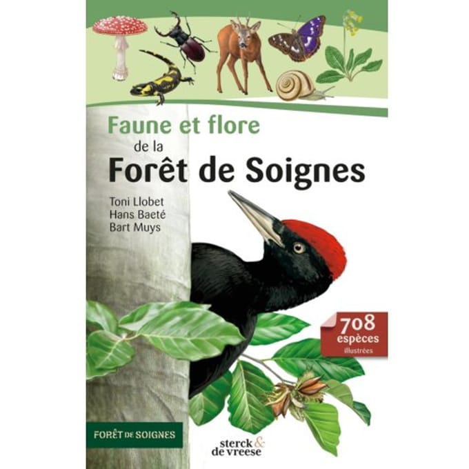 Faune Et Flore De La Forêt De Soignes - Bart Muys