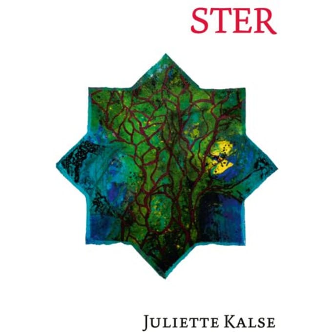 Ster - Juliette Kalse