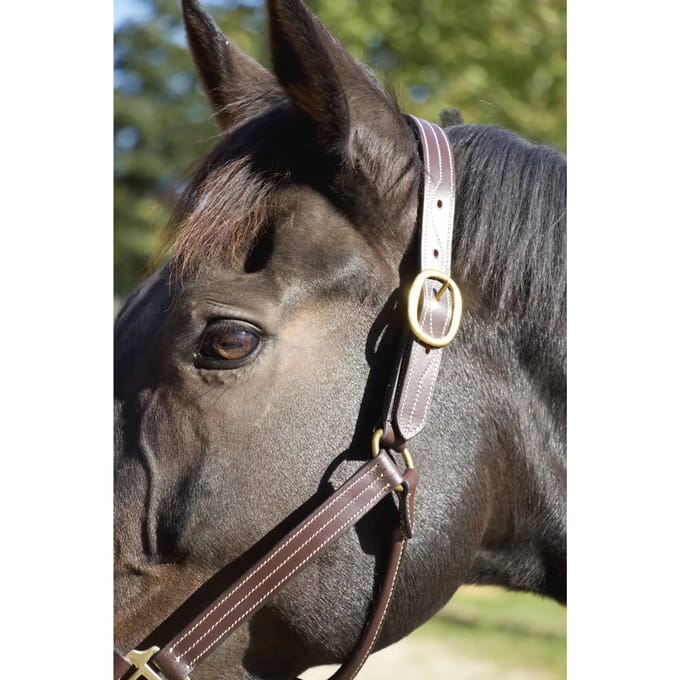 Lederen halster voor paarden T de T Trippled Stiched