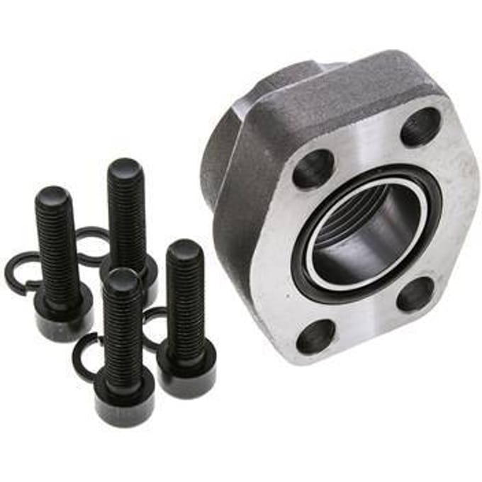 1-1/4'' SAE Flens 3000 psi Blank staal met G1-1/4'' Binnendraad ISO 6162-1
