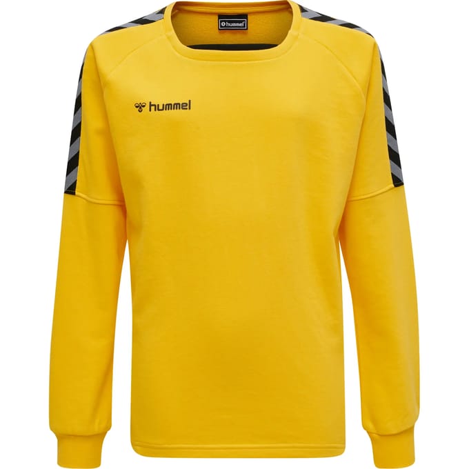 Junior Sweatshirt Hummel hmlAUTHENTIC Training