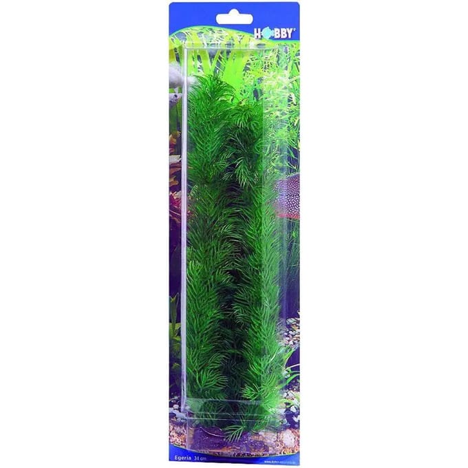 Aquarium accessoires Hobby Egeria