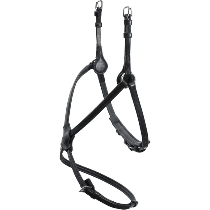 Muserolle paard Schockemöehle Rio Select