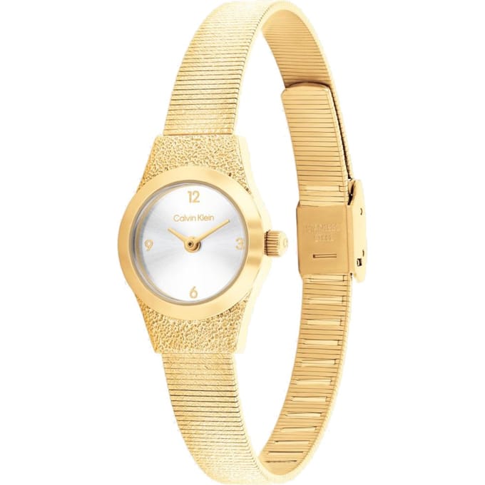 Calvin Klein 25100193 Contemporary Horloge