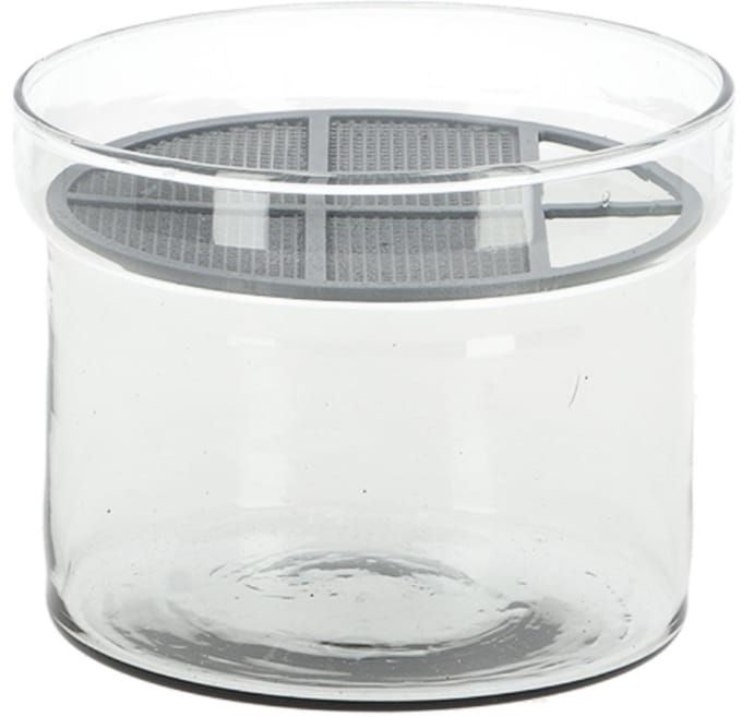 Esschert Design kiemgroente kweekset gerecycled glas
