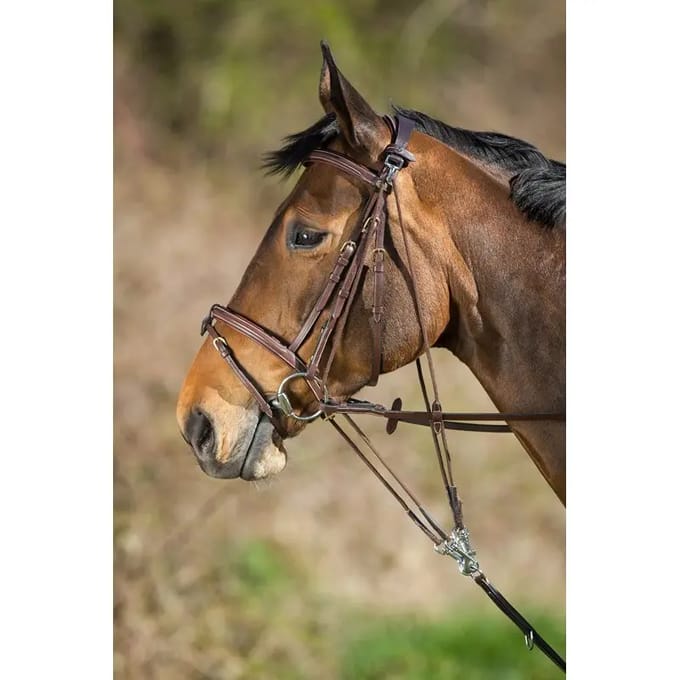 Gogue voor paarden HFI