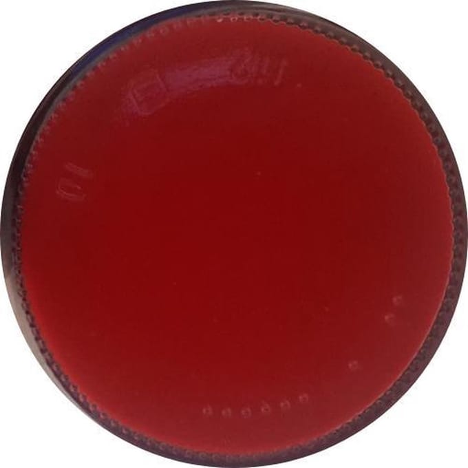 Schoensmeer Paprika 5082 Comforta