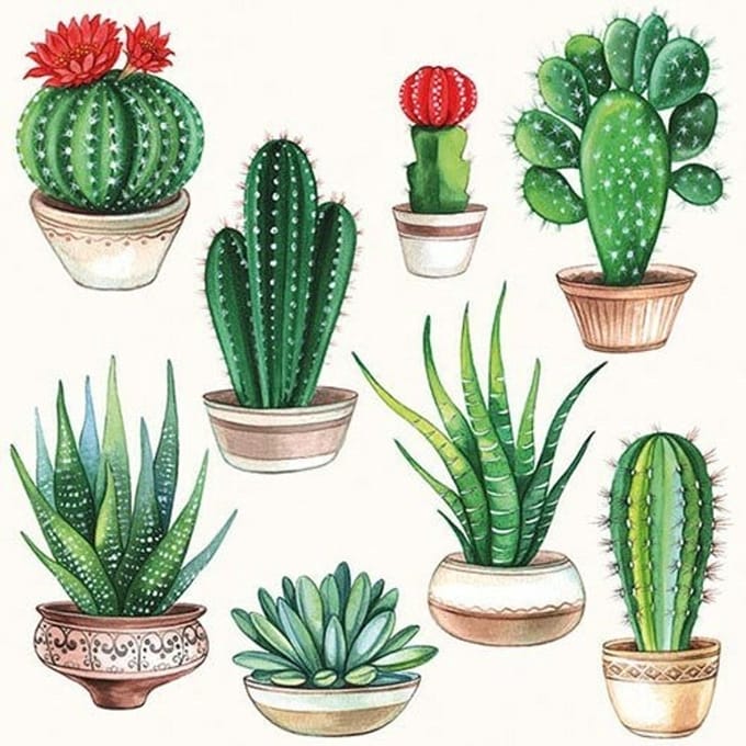 Ambiente Servetten - 33x33 cm - 20 stuks - Cactussen