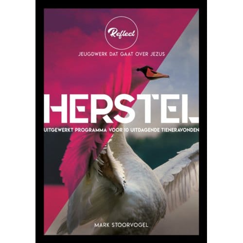 Herstel - Reflect - Mark Stoorvogel