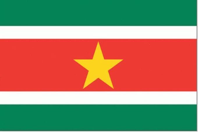 Surinaamse vlag 50x75cm