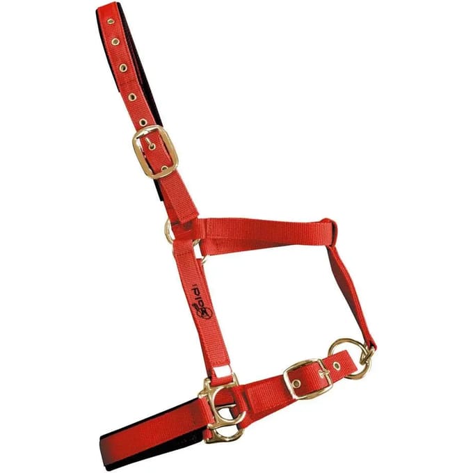 Hoofdstellen voor paarden Zaldi 4022SM